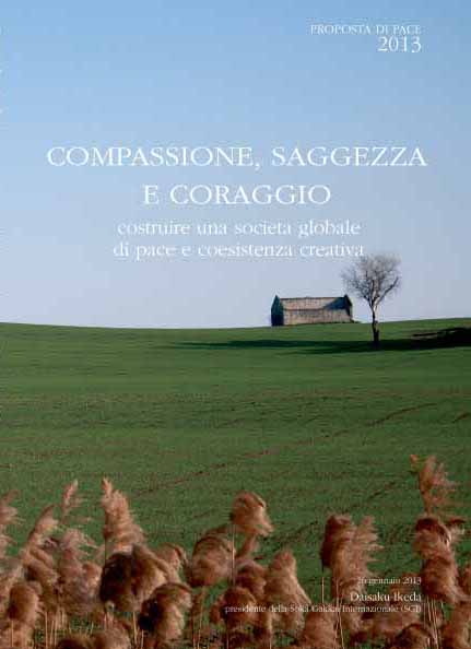copertina PP 2013