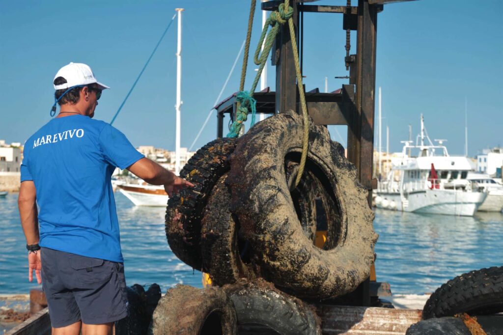 3R per il Mare - Biodiversita