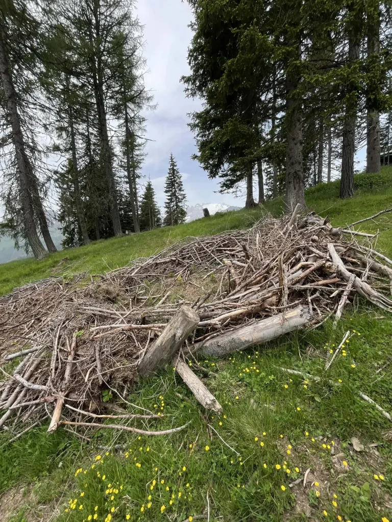 Ancora Natura per il Col di Lana