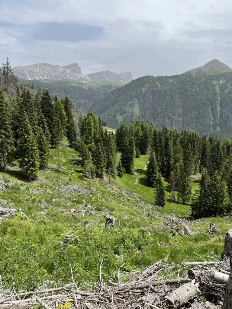 Ancora Natura per il Col di Lana