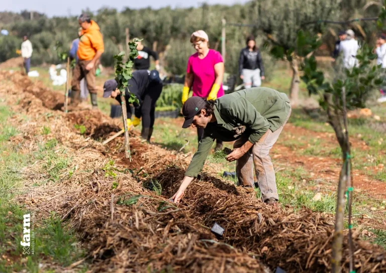 foto progetto agroforestale